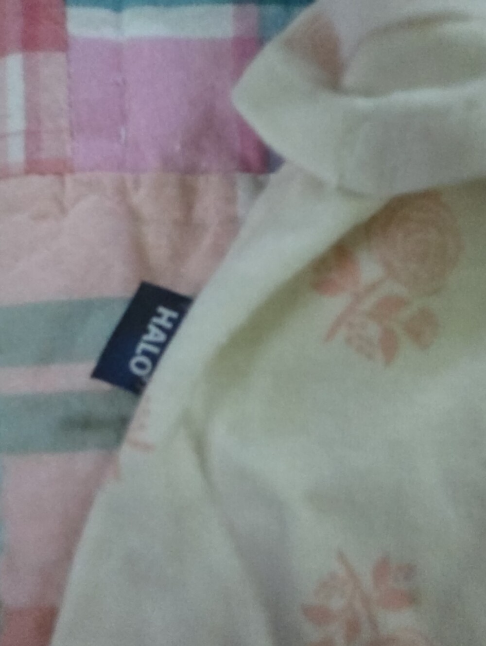 Halo Baby Swaddle Sleep Sack in Cream with Pink Rose Pattern, Size 0-3 Months - Picture 5 of 6